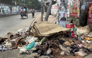 সকাল ৬টা ৩৩ মিনিট। হাজারীবাগ মনেশ্বর রোড